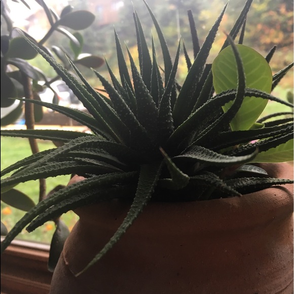 Meet your Posher, Anne - Picture 1 of 1